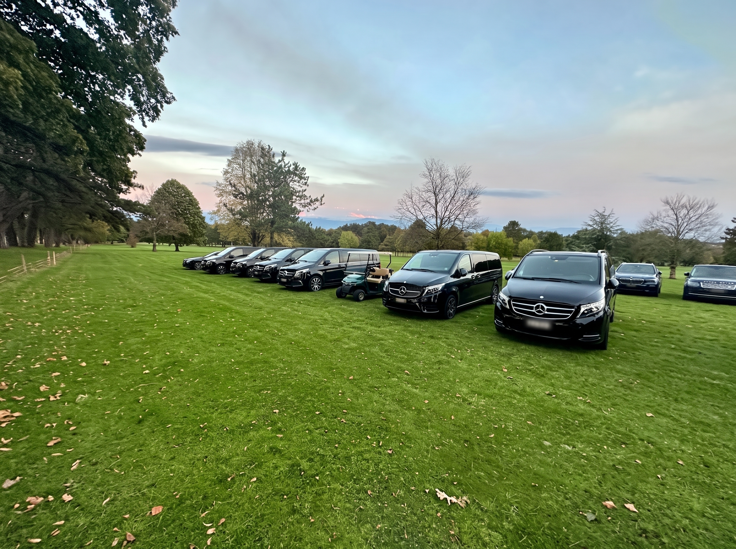 A long row of black cars parked in a perfect line on a lawn, with trees and a lake behind